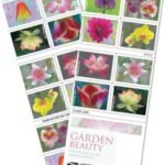 USPS Garden Beauty Forever Postage Stamps 5 Books of 20 US Postal First Class Wedding Celebration Anniversary Flowers Party (100 Stamps)