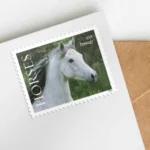 Forever Stamps 2024 Horses – Nature Series, First-Class Postage - Image 2