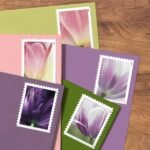 2023 Tulip Blossom Forever First Class Postage Stamps (100 Count Strip)