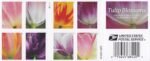2023 Tulip Blossom Forever First Class Postage Stamps (100 Count Strip) - Image 3