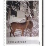 Winter Scenes - Image 2