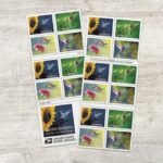 Forever Stamps 2024 Garden Delights – Nature Series, First-Class Postage 100 Stamps 5 Sheets - Image 2