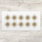 Global Forever Stamps 2025 Compass Rose – International Mailing, First-Class Postage 100 Stamps 5 Sheets - Image 2