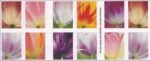 2023 Tulip Blossom Forever First Class Postage Stamps (100 Count Strip) - Image 2