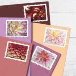 Forever Stamps 2025 Dahlias – Floral Collection, First-Class Postage 100 Stamps 5 Sheets - Image 2