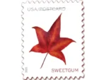 Postcard Rate Stamps 2025 Autumn Leaves – Nature Series, First-Class Rate