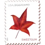 Postcard Rate Stamps 2025 Autumn Leaves – Nature Series, First-Class Rate