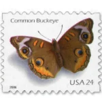 NOT Forever Stamp-First Class Stamps 2006 Common Buckeye Butterfly – Nature Series, 24¢ Postage