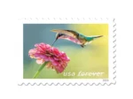 Forever Stamps 2024 Garden Delights – Nature Series, First-Class Postage - Image 3