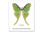 NOT Forever Stamp-Non-Machinable Surcharge Stamps $1.27 2025 Luna Moth – Nature Series, First-Class Rate - Image 3