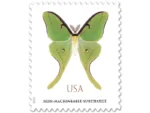 NOT Forever Stamp-Non-Machinable Surcharge Stamps $1.27 2025 Luna Moth – Nature Series, First-Class Rate