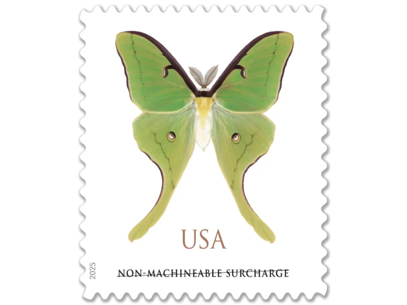 luna-moth-2025-non-machinable-surcharge-stamps-main-scaled-1-800x600 NOT Forever Stamp-Non-Machinable Surcharge Stamps $1.27 2025 Luna Moth – Nature Series, First-Class Rate - Image 1
