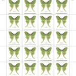 NOT Forever Stamp-Non-Machinable Surcharge Stamps $1.27 2025 Luna Moth – Nature Series, First-Class Rate - Image 2