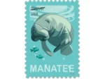 Forever Stamps 2024 Save Manatees – Nature Series, First-Class Postage - Image 3