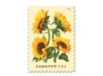 Forever Stamps 2026 Sunflowers – Floral Collection, First-Class Postage - Image 3