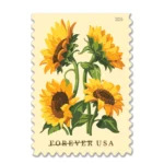 Forever Stamps 2026 Sunflowers – Floral Collection, First-Class Postage 100 Stamps 5 Sheets