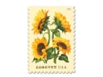 Forever Stamps 2026 Sunflowers – Floral Collection, First-Class Postage
