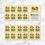 Forever Stamps 2026 Sunflowers – Floral Collection, First-Class Postage 100 Stamps 5 Sheets - Image 2